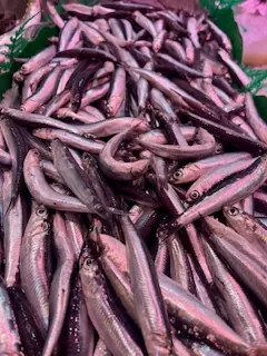 Boquerón