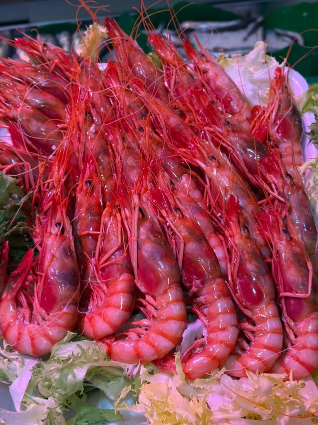 Gamba roja