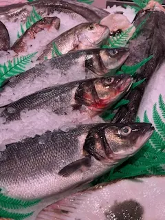 Lubina salvaje