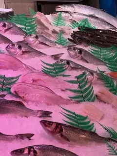 Mostrador de pescado fresco