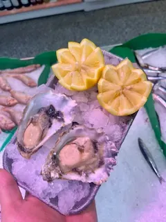 Ostra rizada gallega