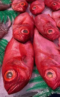 Palometa roja