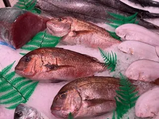 Pargo