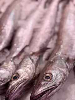 Pescadilla de volanta