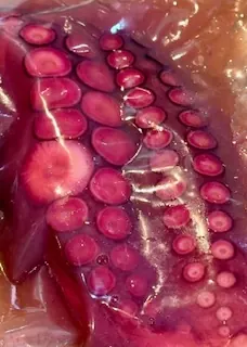 Patas de pulpo extra tierno