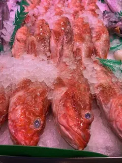 Rascacio