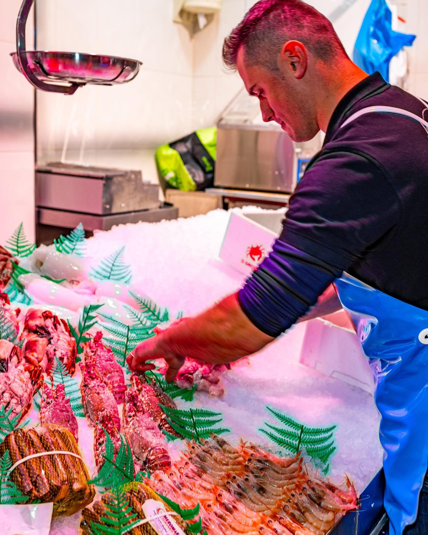 471794234_17864274282292777_948882076589510884_n