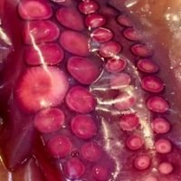 Patas de pulpo extra tierno