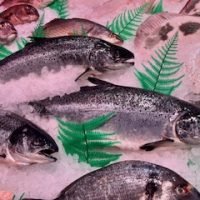 Salmón por enteros