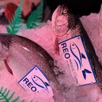 WhatsApp Image 2025-12-04 at 22.02.00